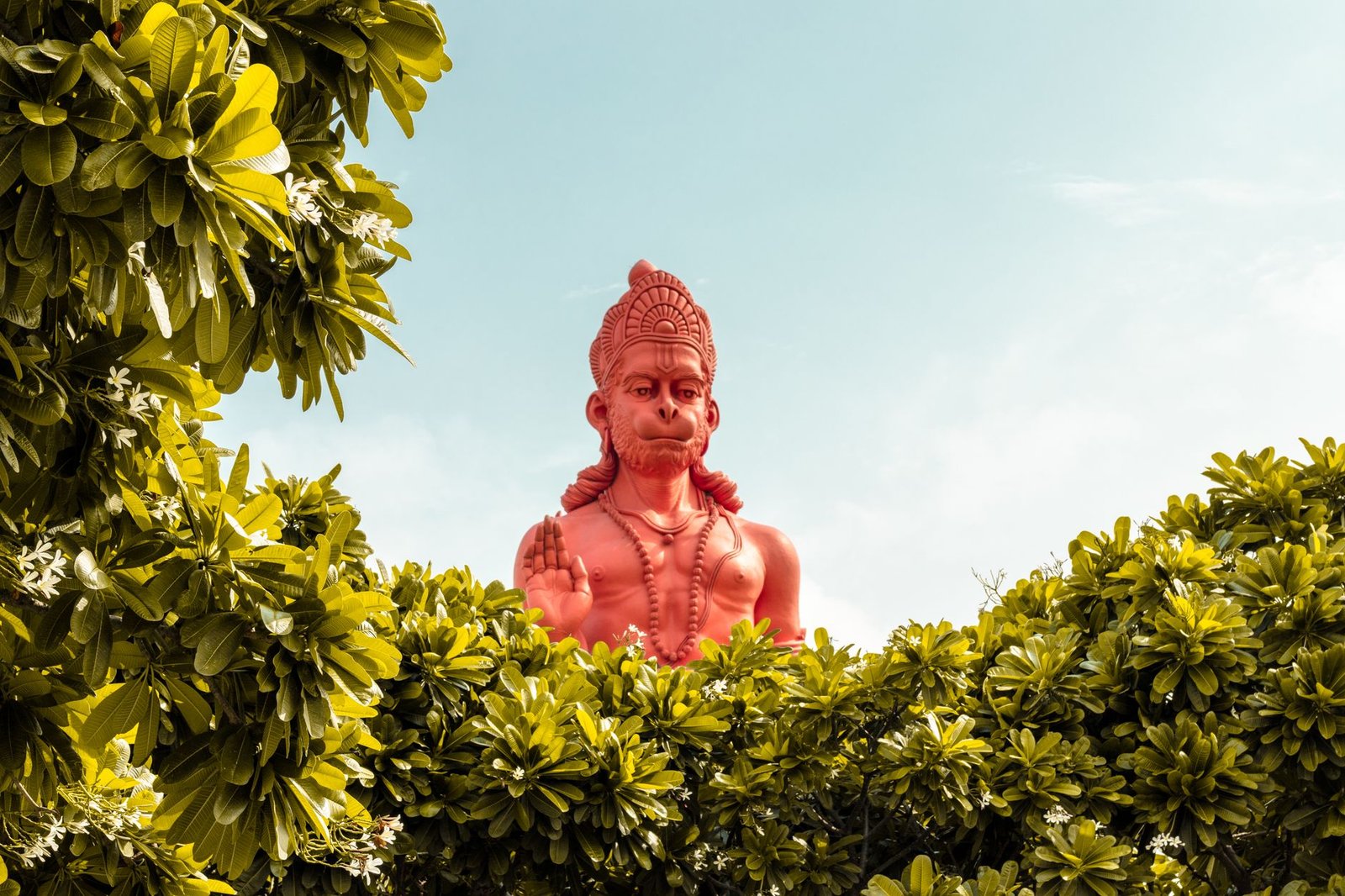 Hanuman Ansh film success